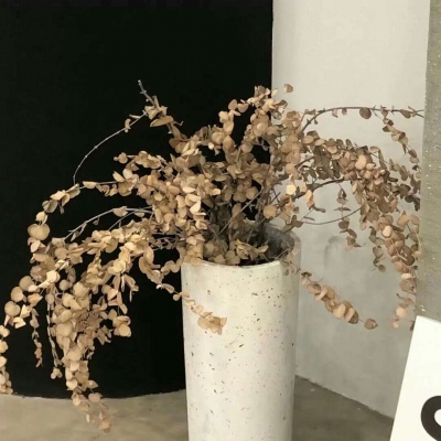 Furry黑白线稿教程兽圈群